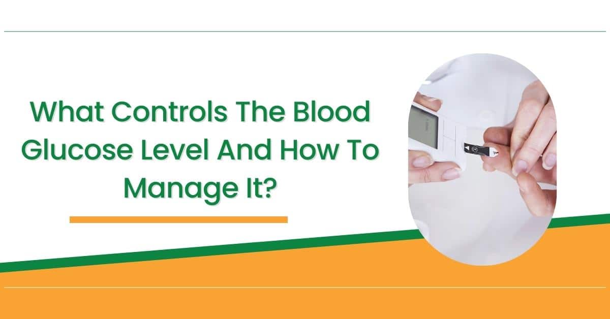 what-controls-the-blood-glucose-level